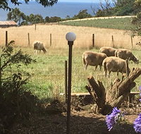 Cape View B and B - Accommodation Brunswick Heads