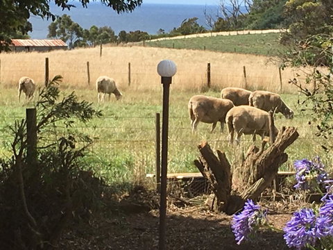 Cape View B And B - Accommodation Brunswick Heads 0