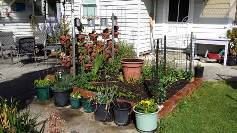 Carisbrook Cottage Queenscliff - Accommodation Brunswick Heads 1