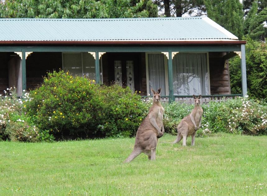 Mount Victoria NSW Accommodation Brunswick Heads