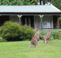 Cedar Lodge Cabins - Accommodation Brunswick Heads