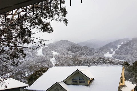 Celesia 2 - Accommodation Brunswick Heads 0