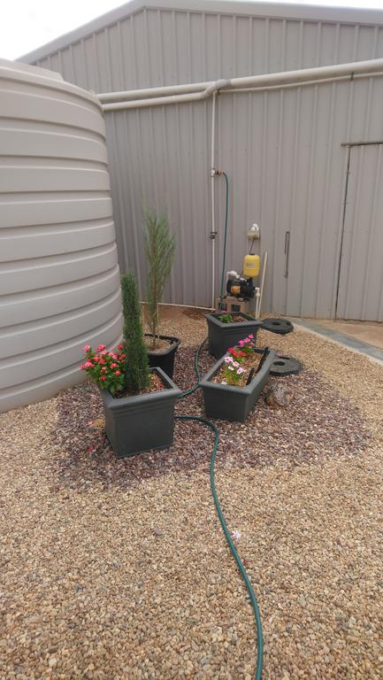 Chrissie's Dongara - Accommodation Brunswick Heads 2
