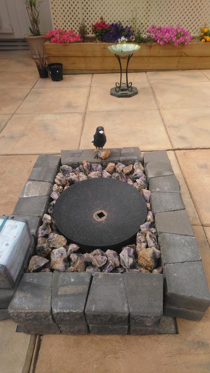 Chrissie's Dongara - Accommodation Brunswick Heads 1