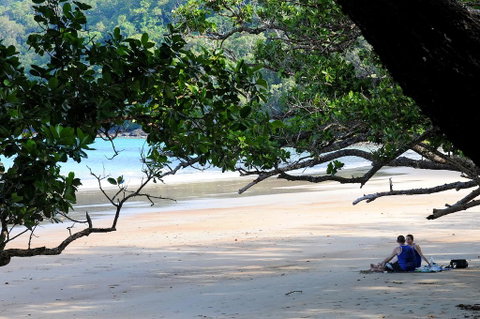 Cow Bay Homestay B&B - Accommodation Brunswick Heads 1