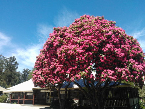 Crossways Country Inn - Accommodation Brunswick Heads 0