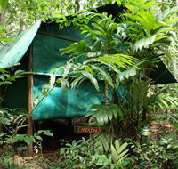 Daintree Crocodylus - Accommodation Brunswick Heads