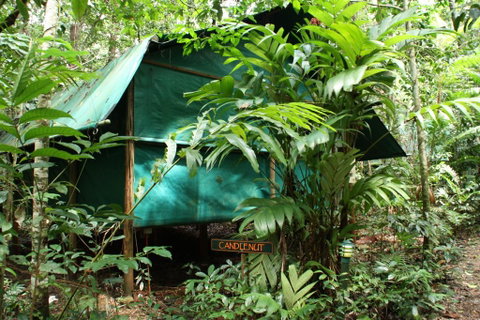 Daintree Crocodylus - Accommodation Brunswick Heads 0