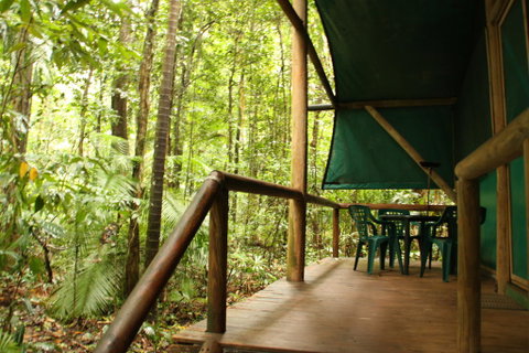 Daintree Crocodylus - Accommodation Brunswick Heads 1