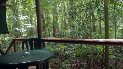Daintree Crocodylus - Accommodation Brunswick Heads 2