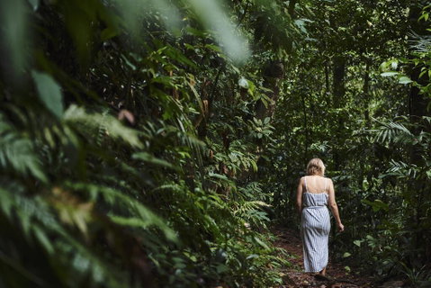 Daintree Ecolodge - Accommodation Brunswick Heads 2