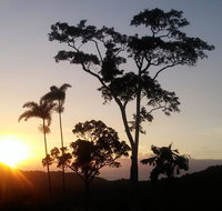 Daintree Holiday Homes - Yurara - Accommodation Brunswick Heads