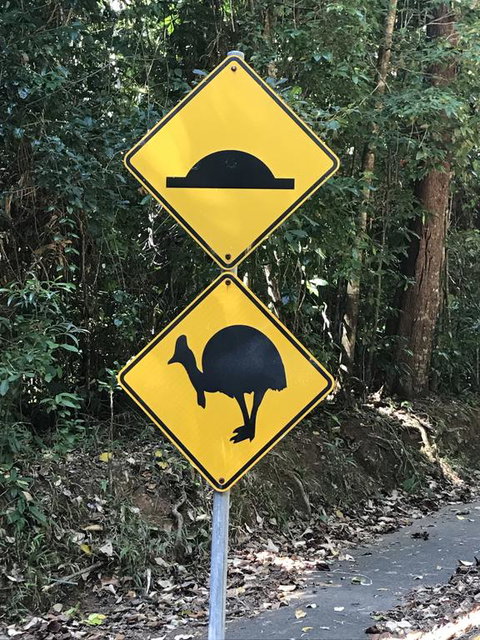 Daintree Magic - Accommodation Brunswick Heads 1