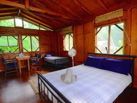 Daintree Rainforest Bungalows - Accommodation Brunswick Heads 2