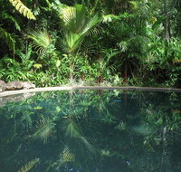 Daintree Rainforest Retreat Motel - Accommodation Brunswick Heads