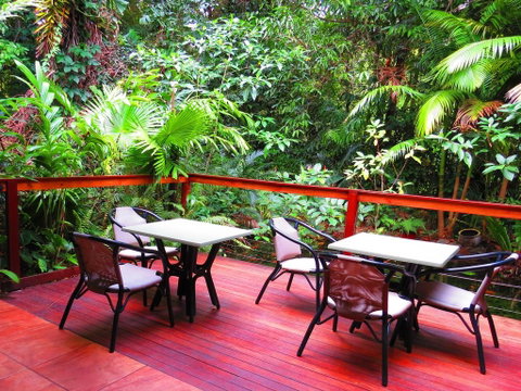 Daintree Rainforest Retreat Motel - Accommodation Brunswick Heads 3