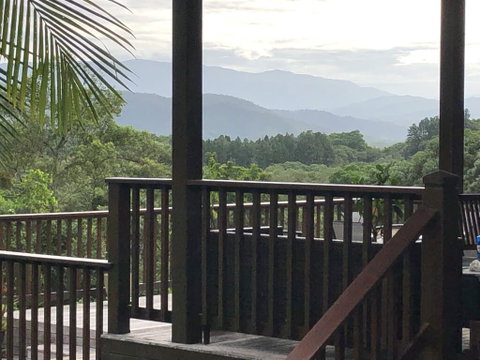 Daintree Valley Cottage - Accommodation Brunswick Heads 1