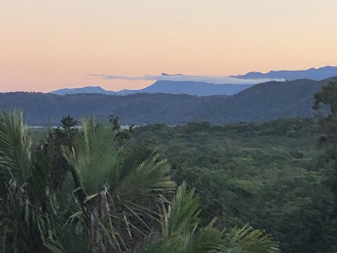 Daintree Valley Cottage - Accommodation Brunswick Heads 2