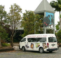 Daintree Wild Bed  Breakfast - Accommodation Brunswick Heads