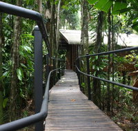 Daintree Wilderness Lodge - Accommodation Brunswick Heads