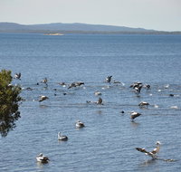 Denmark Waters BB - Accommodation Brunswick Heads