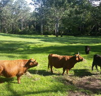 Dingley Dell - Accommodation Brunswick Heads