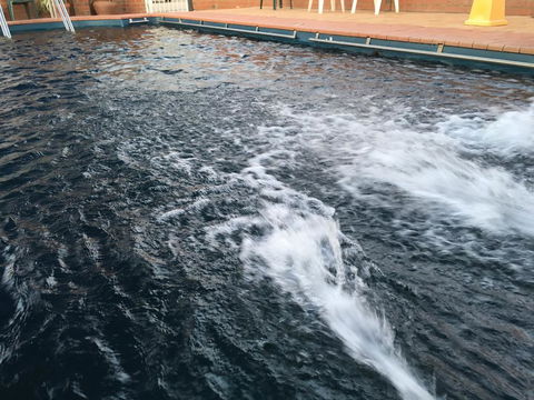 Dragon Phoenix Resort - Accommodation Brunswick Heads 1