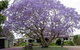 Ecotel Narooma - thumb 0