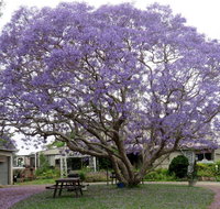 Ecotel Narooma - Accommodation Brunswick Heads