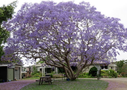 Ecotel Narooma - Accommodation Brunswick Heads 0