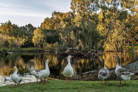 Empire Spa Retreat - Accommodation Brunswick Heads 2