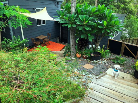 Eumundi Cottage In Town - Accommodation Brunswick Heads 2