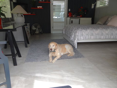 Eumundi Yacht Club B&B - Accommodation Brunswick Heads 1