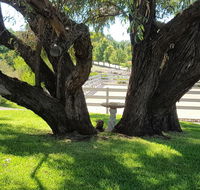 Farm Stay Studio - Accommodation Brunswick Heads