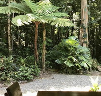 Forest Views Daintree - Accommodation Brunswick Heads