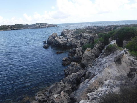 Green Head Caravan Park - Accommodation Brunswick Heads 0