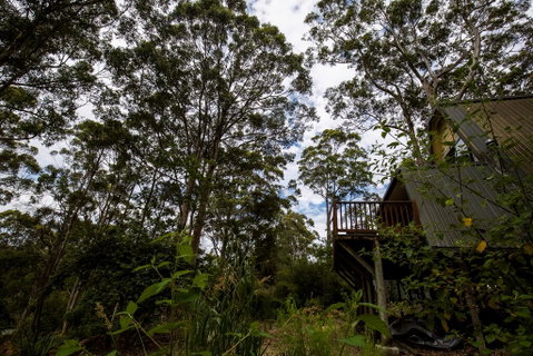 Green Leaves Cabin - Accommodation Brunswick Heads 0