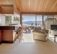 Grey Kangaroo- On Lake Jindabyne foreshore - Accommodation Brunswick Heads