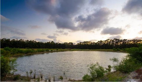 Hartzell One Seven - Accommodation Brunswick Heads 2