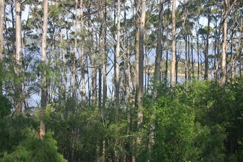 Honeymoon View - Accommodation Brunswick Heads 2