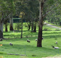 JAN'S ART STUDIO AT ASHBY RISE - Accommodation Brunswick Heads