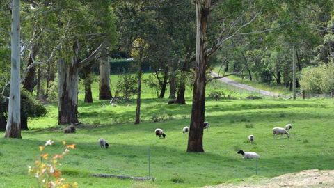 JAN'S ART STUDIO AT ASHBY RISE - Accommodation Brunswick Heads 0