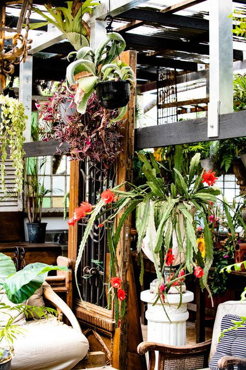 Jaspers Apartments - Accommodation Brunswick Heads 3