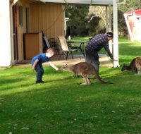 Kalgan River Chalets and Caravan Park - Accommodation Brunswick Heads