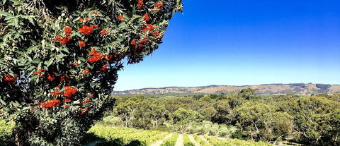 Karawatha Cottages B&B - Accommodation Brunswick Heads 2