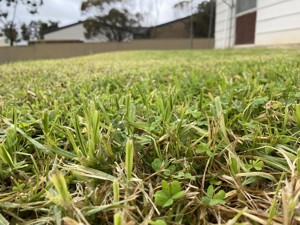 Monash SA Accommodation Brunswick Heads