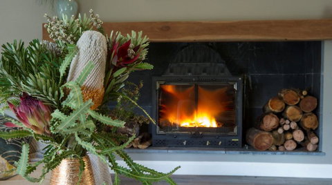 KOALA GULLY - Accommodation Brunswick Heads 0