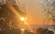 La Perouse Lorne - thumb 0