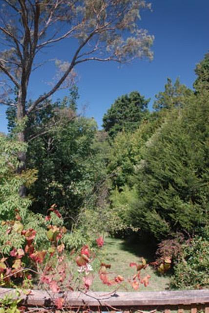 Leura Lady - Accommodation Brunswick Heads 3