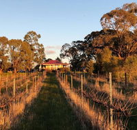 Lillicur Vineyard BB - Accommodation Brunswick Heads